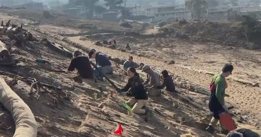 San Francisco volunteers draw inspiration to restore Presidio habitats from global art project