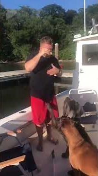 “16 INSANELY Funny Diving Champion Fails! 🤣💦 | Ultra-Short Epic Fail Compilation”