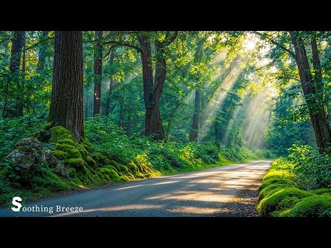 Soothing, relaxing music reduces stress and stops thinking too much