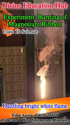 Watch Magnesium Burn with a Bright White Flame🤯🔥🧪#shorts #experiment #science #class10 #trending #yt