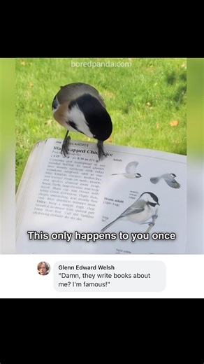 When you find yourself in the dictionary | Girls Squad