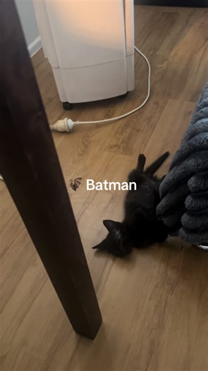 🦇 Batman chilling 🥹😇😂