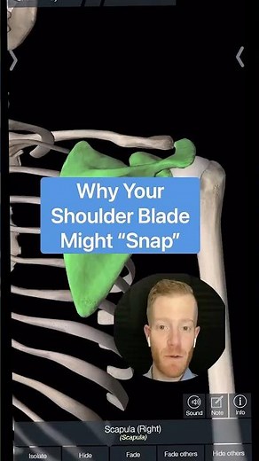 Why Your Shoulder Blade Pops: Snapping Scapula Syndrome