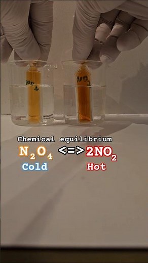 Chemical equilibrium of nitrogen dioxide #experiment #chemistry #science #educational