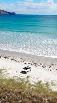 First time surf casting on the remote beach in New Zealand #newzealand #fishing