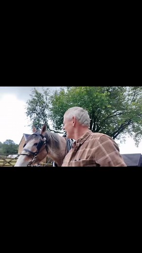 136K views · 4.7K reactions | He’s a proper gentle giant, really. You don’t expect a horse that size to be quite so soft, but people light up when they meet him. There’s something about him he doesn’t have to do anything, he just is, and somehow that’s enough. I love seeing the way he gets under people’s skin, in the best possible way. Makes me rather proud, actually. #Dorset #cornwall | Martin Clunes | Facebook