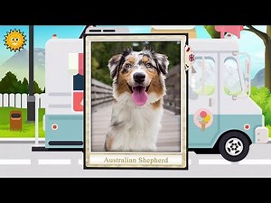 Find Them All: My Pets