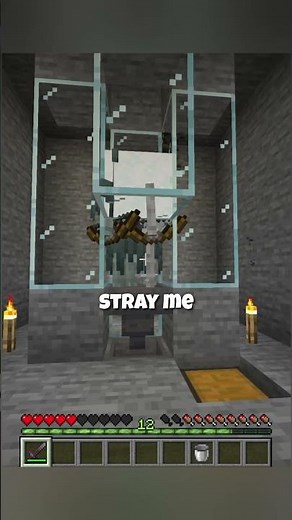 Nobody knows this Skeleton farm trick 🔥