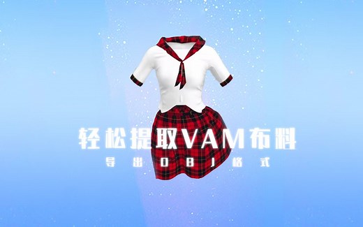VAM 提取出布料并导出