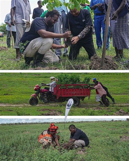 Restoring Lake Kenyatta Through Collective Action