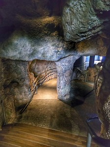 🌊✨ Step inside Point Defiance Aquarium and come face to face with sharks and schools of vibrant fish. It’s an underwater adventure right here in the PNW 🦈🐠 📍 Tacoma, Washington. A must see stop for anyone who loves the ocean. #PointDefiance #Tacoma #Washington #PNW #DayTrip #FamilyFun #TravelPNW | The PNW Bucket List