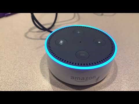 How to reset an Alexa Echo Dot