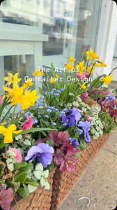 🌱 Ready to elevate your container gardening game? 🌼 Let’s dive into the essentials of container planting design! Whether you’re a beginner or just looking to refresh your skills, mastering these basics will help you create stunning arrangements that pop! Here are the key elements to consider: 1️⃣ Scale: Choose plants of varying heights to create visual interest. Mix tall, medium, and trailing plants for a dynamic look! 2️⃣ Color: Think about the color palette. Use complementary colors for a vi