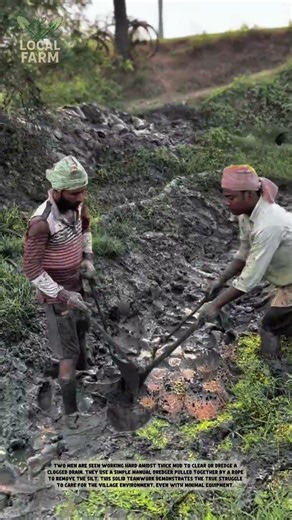 Traditional Mud Dredging: The Power of Manual Labor and Simple Tools