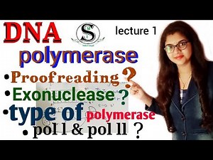 DNA Polymerase / DNA Polymerase 1 and 2 / Polymerase enzyme