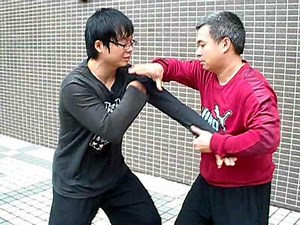 八步螳螂拳 基本接手對練 eight step praying mantis -basic fighting training