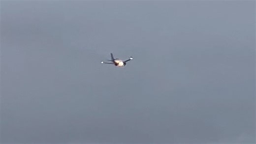 Flames spout from plane engine after striking rabbit during take off