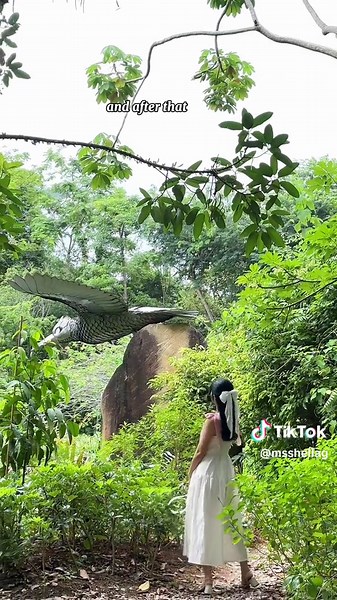 Discover the Beauty of Kingfisher Wetlands: Explore Nature in Singapore