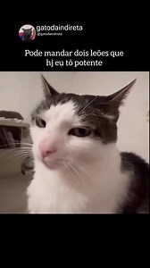 57K views · 1.5K reactions | #cats #meme | Gato da indireta | Facebook