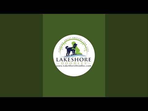 Lakeshore Doodles is live!