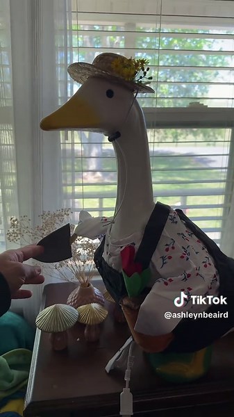 Meet Fancy: The Adorable Porch Goose!