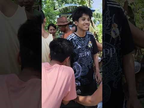 Burmese baby python rescued and released