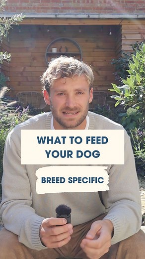 122K views · 810 reactions | The best foods to feed your dog breed PART 6. Comment below with your dog's breed and we'll aim to include them in the next video. Cam | The Dog Nutritionist | Facebook