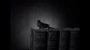 Newly restored and screening in 35mm, THE LOST MOMENT is an atmospheric, psychological noir about a shady publisher who insinuates himself into the mouldering estate of a renowned but long-dead poet in order to find his lost love letters. One screening only, Dec. 15, 7 PM: https://www.austinfilm.org/screening/ucla-festival-preservation-lost-moment-tramp-strategy/ | Austin Film Society