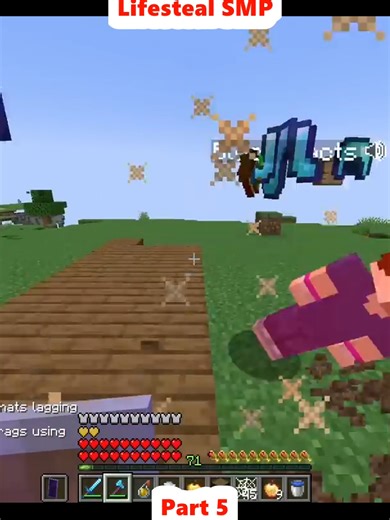 1000 Armored Wolves Challenge in Lifesteal SMP