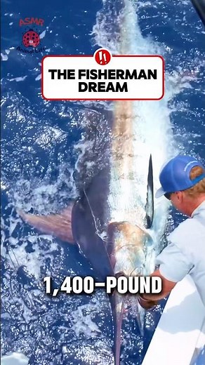 The 1,400-Lb Gladiator of the Ocean... 🌊⚔️