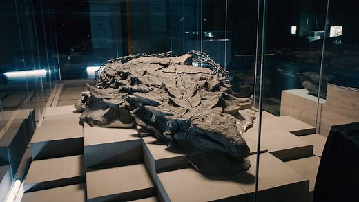 Meet one of the world's best-preserved dinosaurs | Dinosaur Cold Case