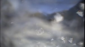 clip-55903-amphibious-vehicle-exiting-river