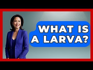 What Is A Larva? - The Marine Life Explorer