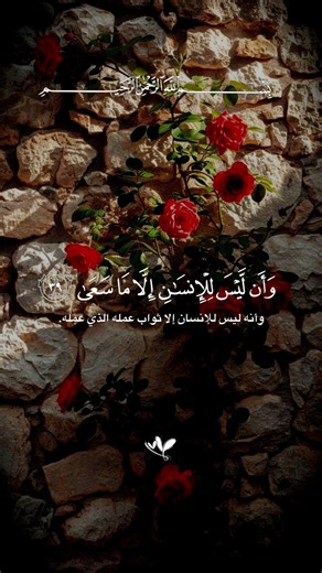قران كريم بصوت محمد اللحيدان وان ليس للانسان الا ماسعى #قران #محمد_اللحيدان
