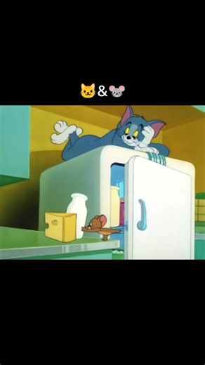 Tom and Jerry funny moments compilation