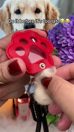 Cherish Your Furry Friends: A Touching Pet Memorial Message