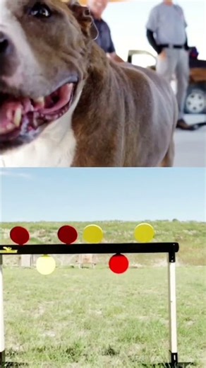 Built for Real Range Training AR500 Steel Targets #shorts