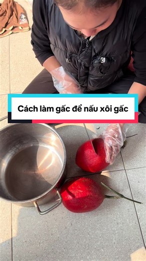 Hướng dẫn cách làm xôi gấc Tết