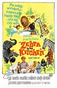 Zebra in the Kitchen (Film, 1965) - MovieMeter.nl