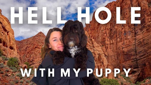I'm Back! Hiking with my Puppy