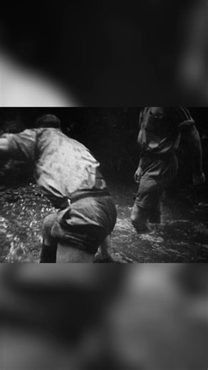 4.3K views · 67 reactions | The Kokoda Track campaign in New Guinea presented soldiers with nearly insurmountable challenges. Harsh terrain, supply shortages, and rampant disease made survival a constant battle. #KokodaTrack #WWII #MilitaryHistory #NewGuinea #AustralianHistory | Timeline - World History | Facebook
