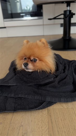 Understanding Alopecia: Causes and Effects