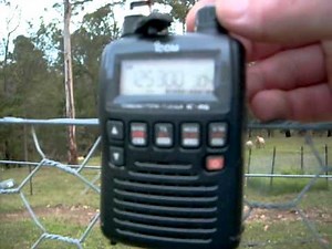 icom ic-r6 memory scan ,couldnt keep the goats away yet again