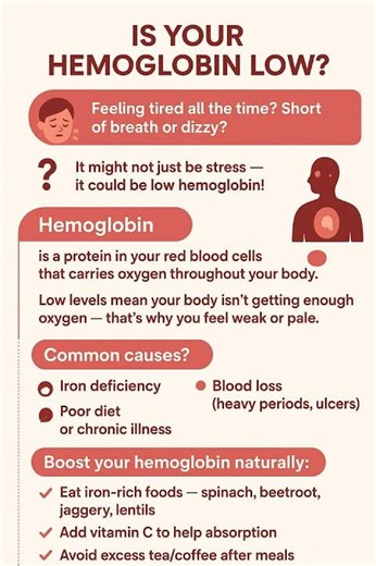What's hemoglobin #hemoglobin #bloodtest #health #healthylifestyle #preventivecare #anemia #labtest