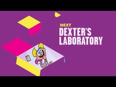 Boomerang: The ULTIMATE "Coming Up Next" 2015-Present Bumper Collection (UPDATED for 2022!)