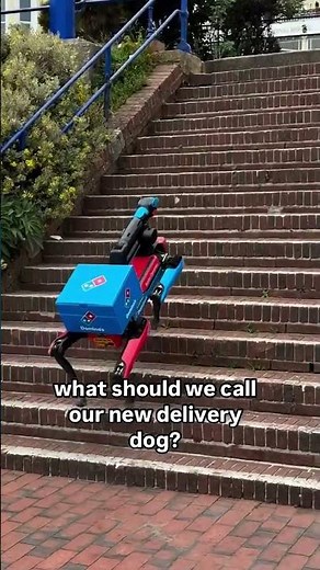 Domino's test robot dog to deliver pizzas