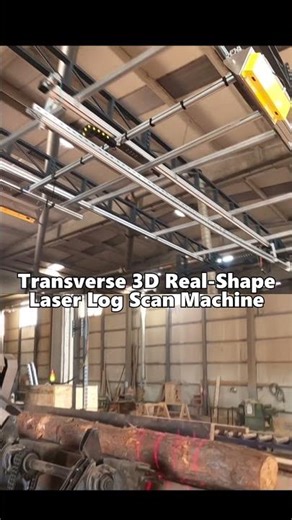 Automatic Log Scanning System ALTAY SM L1214