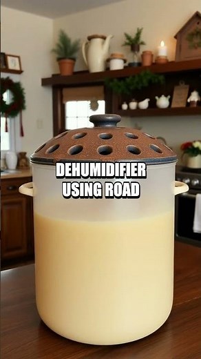 DIY Home Dehumidifier with Road Salt