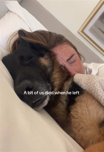 Coping with Dog Loss: A Grief Journey