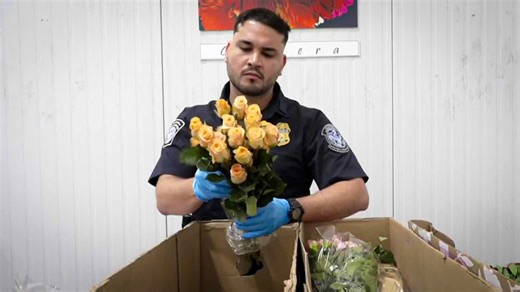 Why that bouquet of flowers will cost you more this Valentine's Day